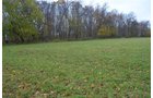 Property photo 8 - 80 Acres & Home - Property Offered in 4 Tracts from 2.3 to 30.0 Acres